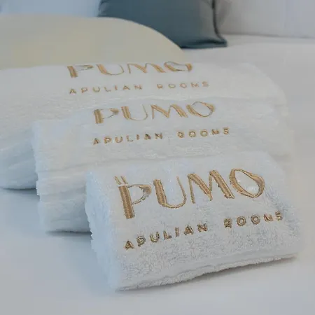 Guest house Il Pumo - Apulian Piazza Moro 61